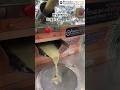😍गन्ने का रस निकालना हुआ आसान😱Sugarcane juice machine | Business idea #shortsfeed#shorts#viralshorts