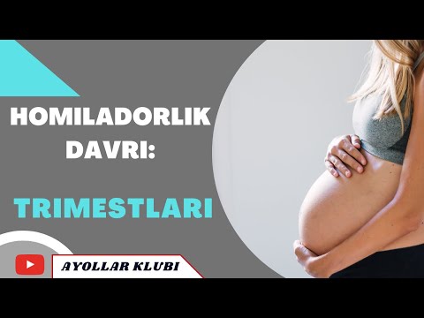 TRIMESTR: HOMILADORLIK DAVRI: TRIMESTLARI