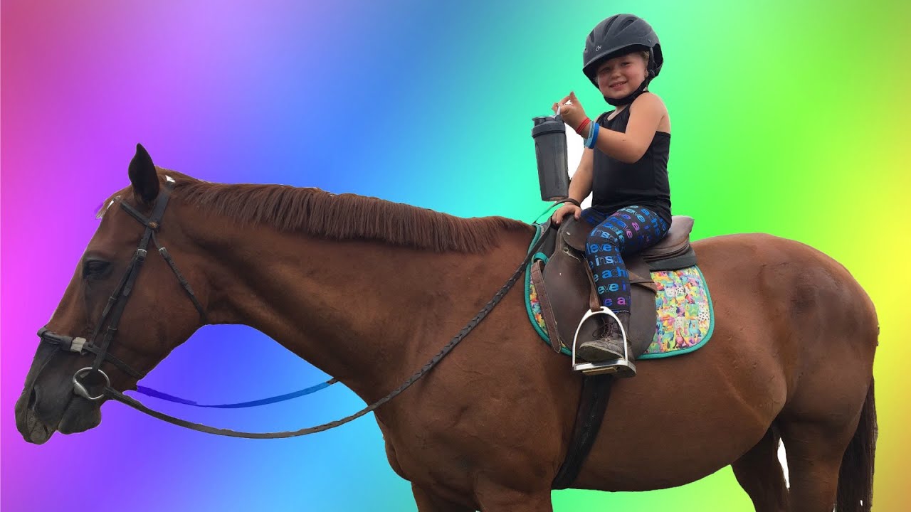 Best horse riding ever seen YouTube