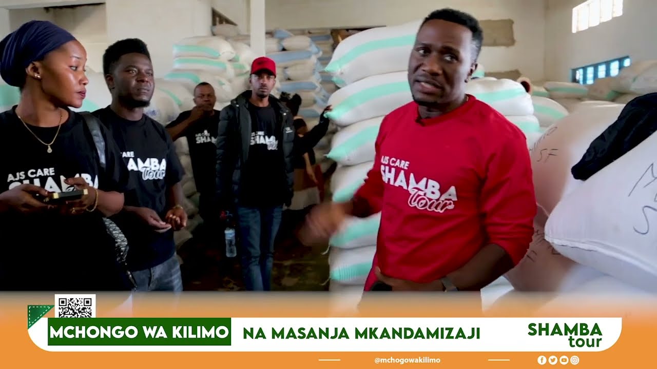 MASANJA: JINSI YA KUPATA MCHELE GRADE 1 MASHINENI (shamba tour)