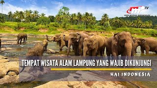 Hai Indonesia | Tempat Wisata Alam Lampung yang Wajib Dikunjungi