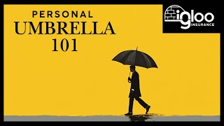 Personal Umbrella Insurance 101