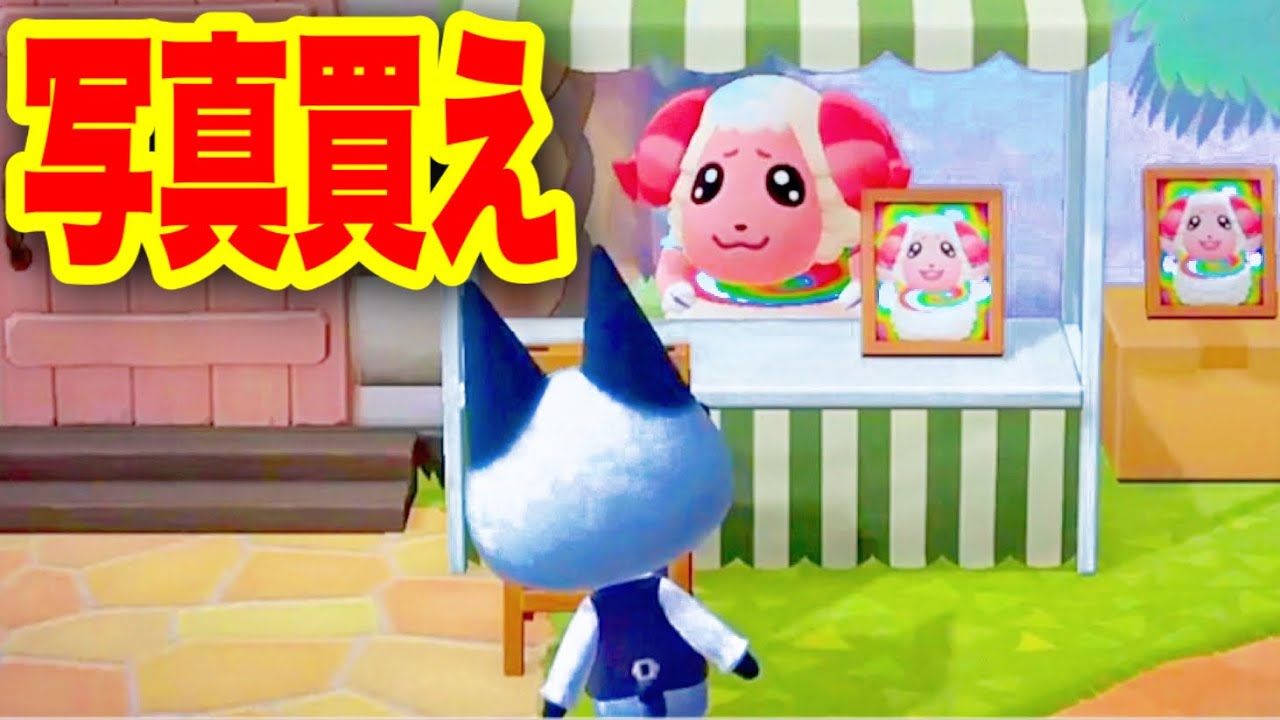 あつ森 オイラの写真買えよ 勘違いしたちゃちゃまるを実況する あつまれどうぶつの森 アナウンサー どう森 ゲーム実況 Youtube あつ森 オイラの写真買えよ 勘違いしたちゃちゃまるを実況する あつまれどうぶつの森 アナウンサー どう森 ゲーム実況 Youtube