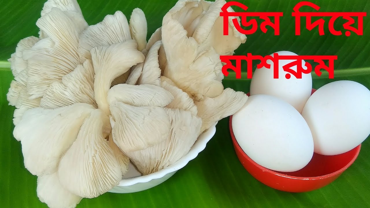 এই ভাবে ডিম দিয়ে মাশরুম রান্না করলে মাংসের সাধ কে ও হাড় মানাবে/ডিমের রেসিপি/মাশরুম রান্নার রেসিপি।