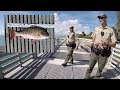 Almost Legal Mutton - Florida Wildlife Officers (FWC) Show Up!