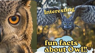 Amazing Owl Facts | Owls: Masters of the Night! 🌙 | Habitat, Hunting Skills & Amazing Species