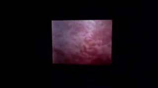 World Destruction (Nintendo DS) Opening Cinematic