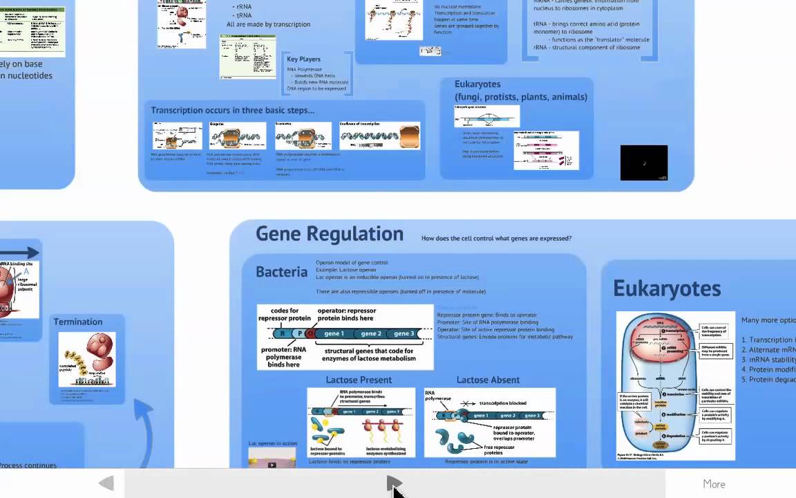 Gene Expression - YouTube