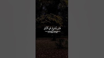 القارئ : ياسر الدوسري كل نفس ذائقة الموت #القرآن_الكريم #اكسبلور #ياسر_الدوسري #quran