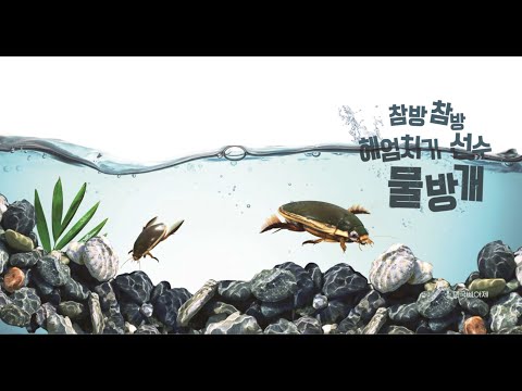 책별6호 코코 참방참방 헤엄치기 선수 물방개