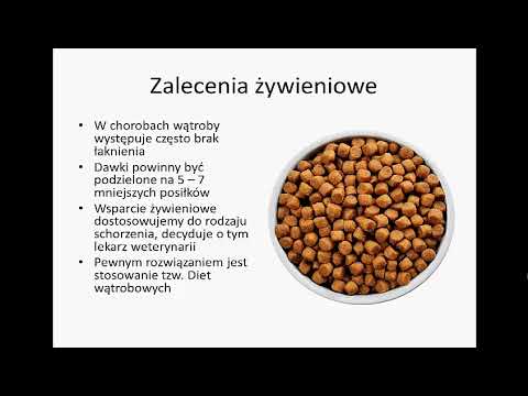 Wideo: Jak Leczyć Chorobę Wątroby U Psa?