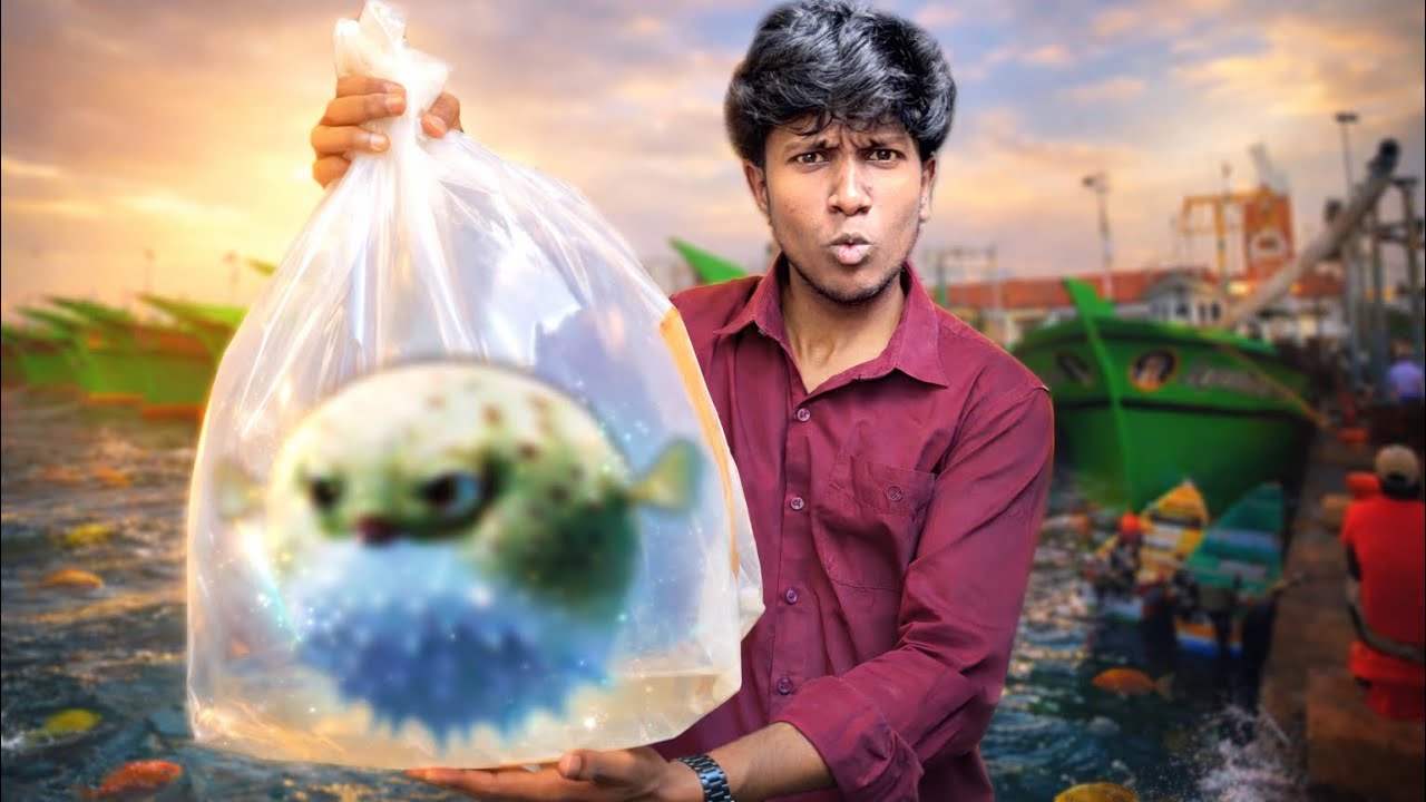 We Found a DYING😳Sea MONSTER🐡.. Then This Happened /JENISH KJ