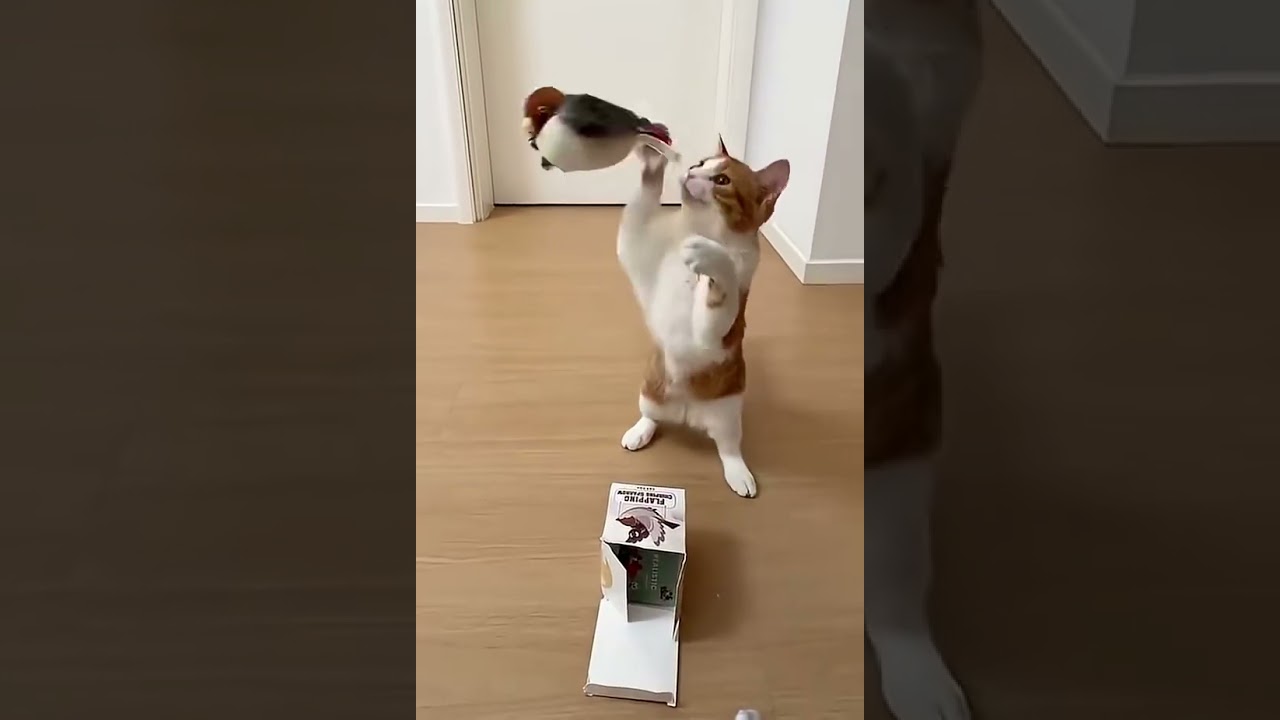 🐦 The Flying Bird Toy Every Pet Owner Needs! 🐾💨 Looking for a fun