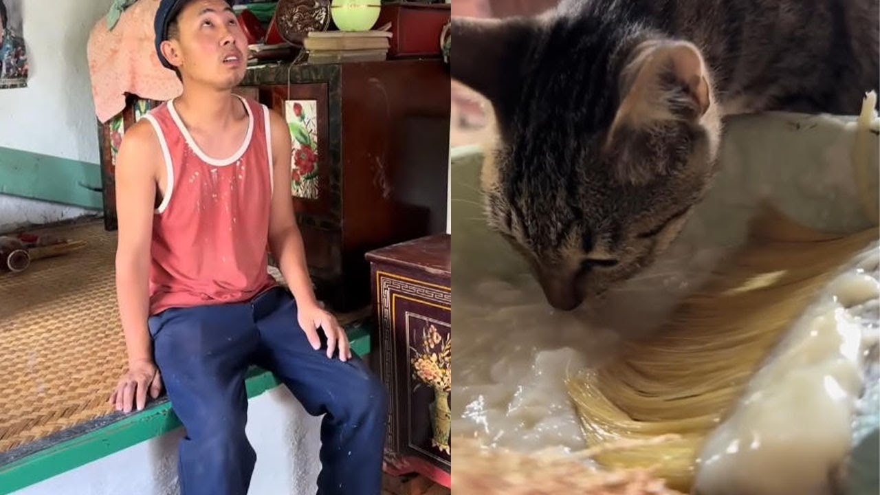 新的一天，新的氣象#food #客家美食 #cooking #delicious #家庭菜 #funny