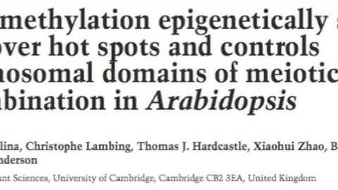 Ian Henderson (University of Cambridge) talks to GARNet.