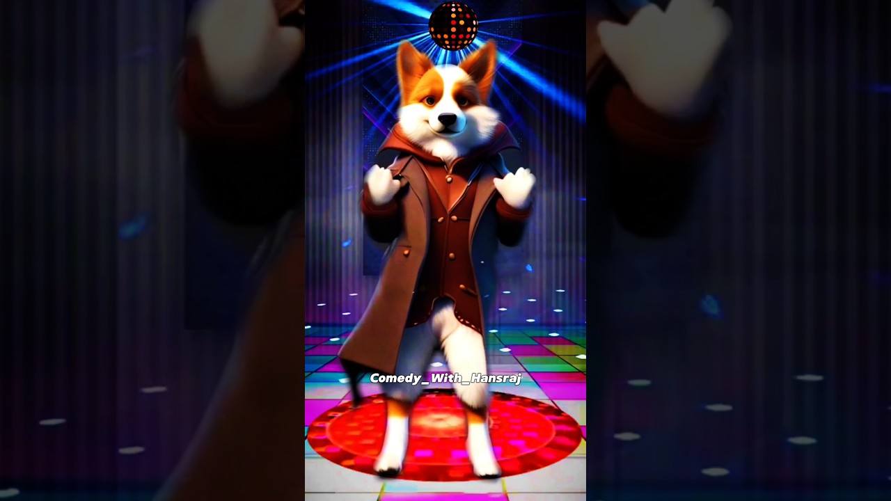 Smart dog dance & puppy 