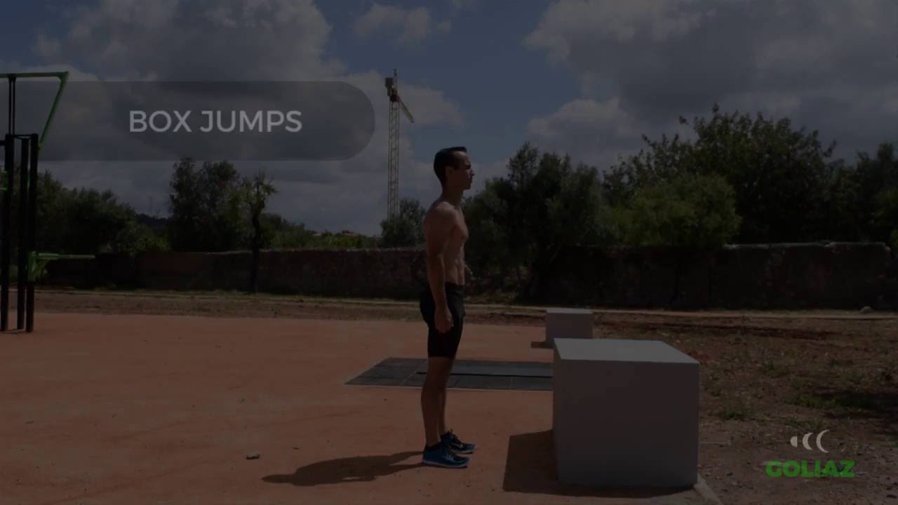 BOX JUMPS challenges of globalization