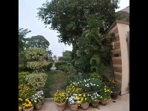 My first video with friends
