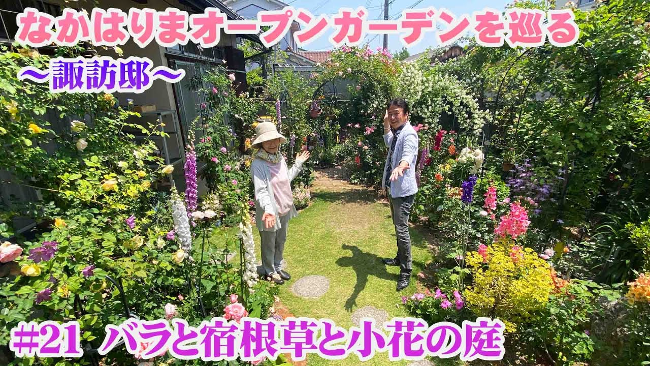 【オープンガーデンなかはりま 】お庭訪問 第21回 諏訪邸のバラと宿根草の庭～姫路のオープンガーデン～【個人邸の庭】