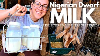 Registered Goats May NOT Be The Best Choice For Homesteaders | Chore Chat / Real Talk VLOG