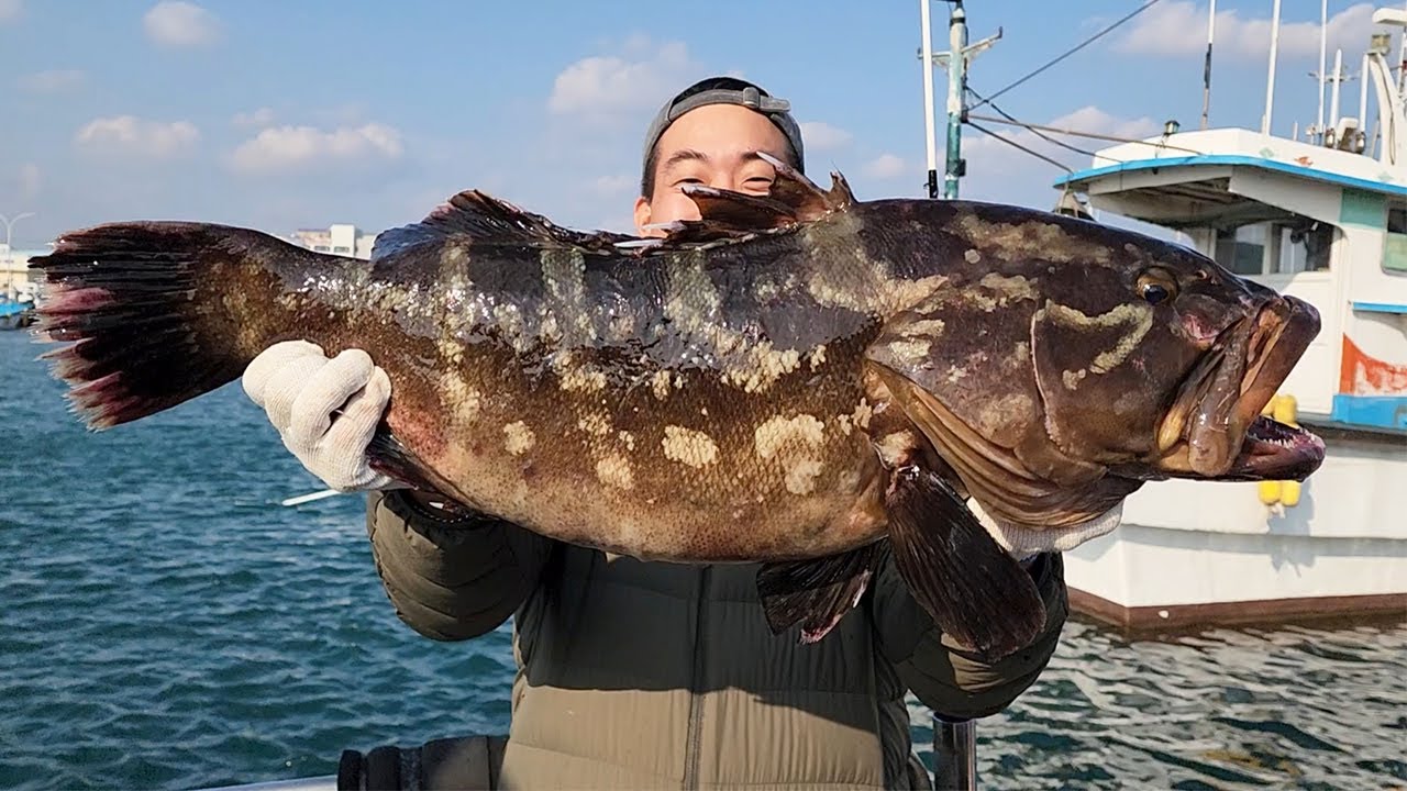 한마리에 140만원..!! 자연산 다금바리를 잡아서 먹어보자!