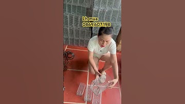 Lồng bẫy chuột đường mòn , cống nhum , sóc đất siêu hiệu quả