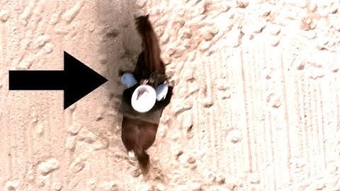 Direct Bend and Counter Bend Circles