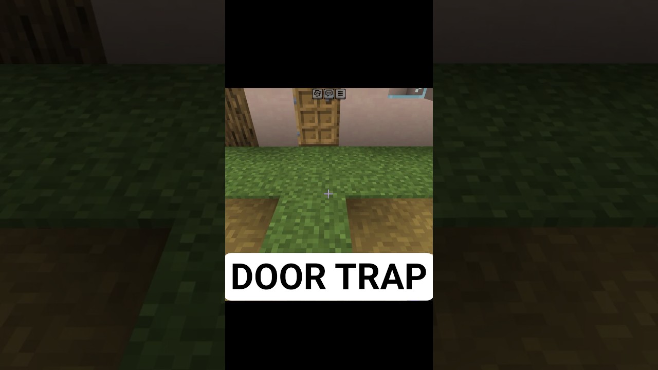 TRAP IN MINECRAFT...