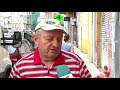 La avispa asesina que amenaza España