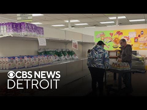 Michigan SNAP benefits moving forward