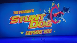 Perondi's Stunt Dog Experience at Silver Dollar City  Spring Break Days