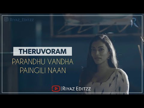 theruvoram-parandhuvandha-paingili-naan||-tamil-whatsapp-status-||-female-||-lyrics-||-riyazeditzz