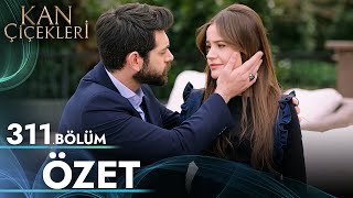 Kan Çiçekleri 311. Bölüm - Özet