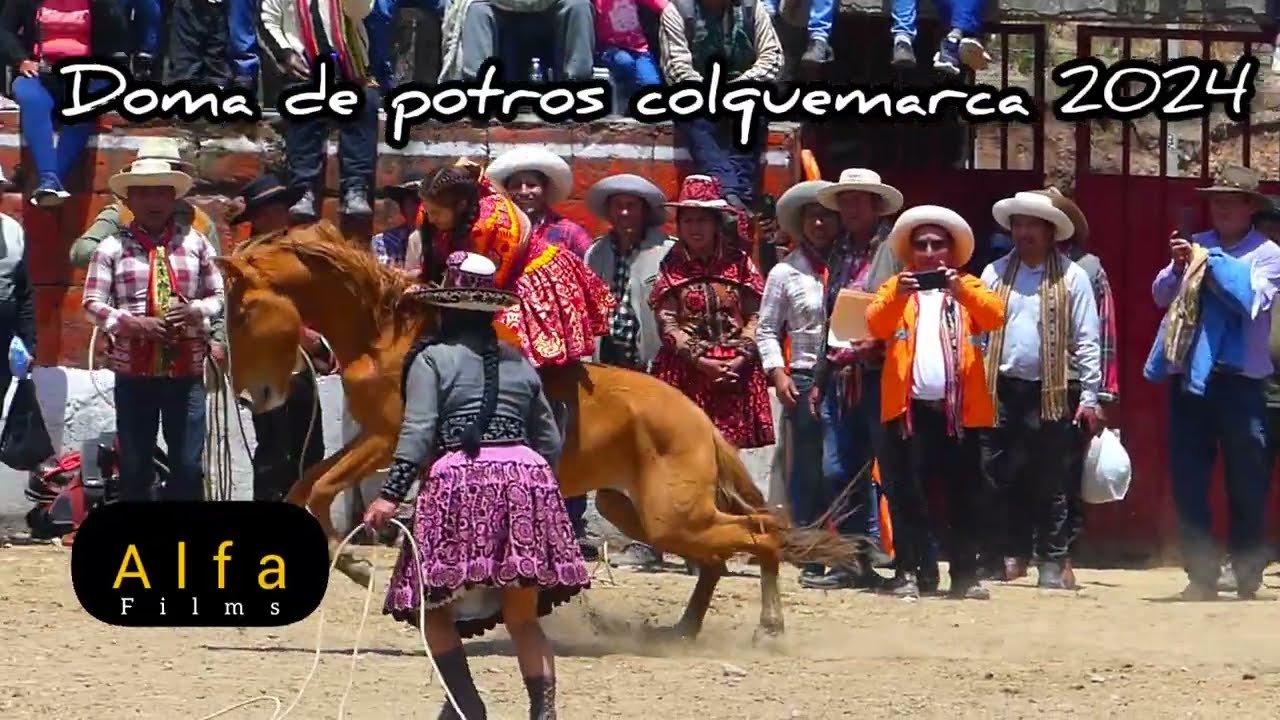 espectacular Doma de Potros Colquemarca chumbivilcas 2024