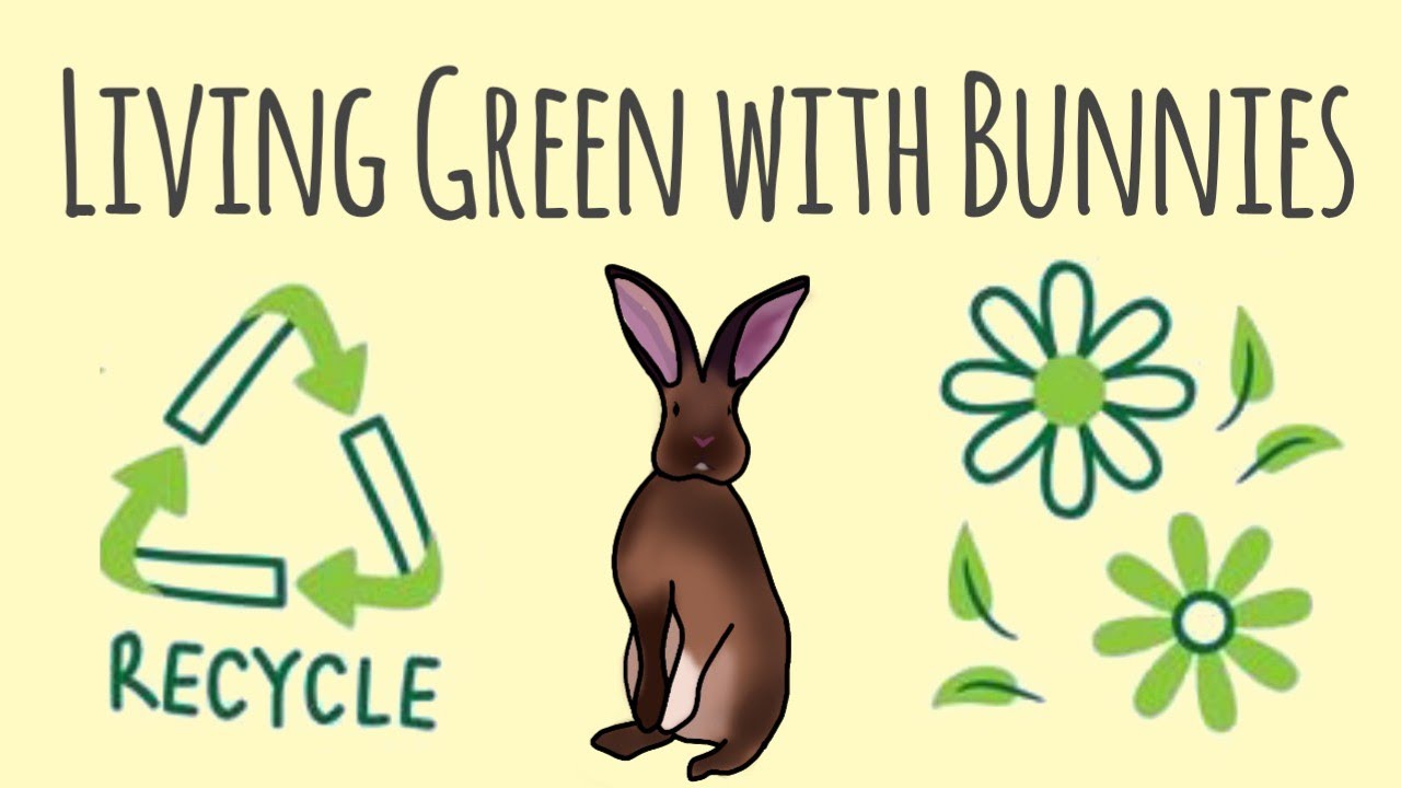 How to live low waste with a bunny | 5 ways to use