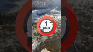 Can We Catch A Fish From This Creek In Just 1 Hour?