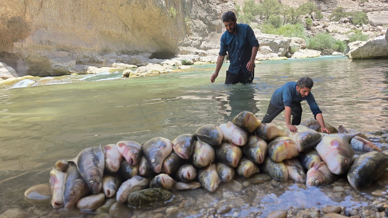 🔴 Невероятный улов рыбы в горах | Традиционный кочевой метод в дикой реке!