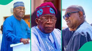 2027: Tinubu, Family Should Start Packing Their Luggage From Aso Rock—Dino Melaye