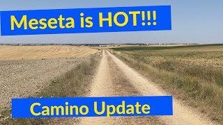 Update From The Hot Hot Meseta