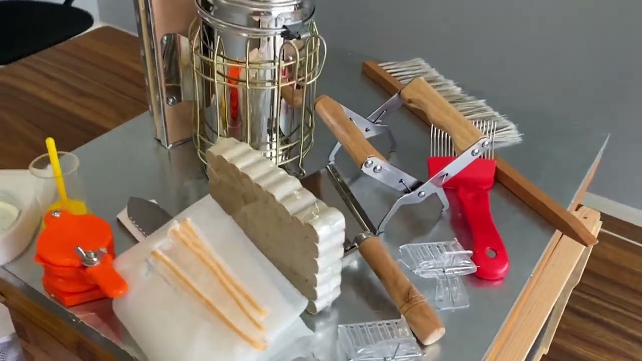 BeeCastle hive Starter Kit:22 pcs beekeeping tool with 1 deep box with wooden frame and foundation