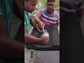 Indian Carp Fish Injection💉🐟 #shorts