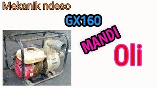 Mesin pompa air/alkon/GX160 ganti sil oli kruk as