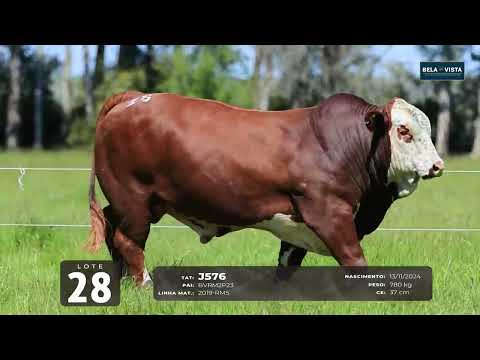 28 J576