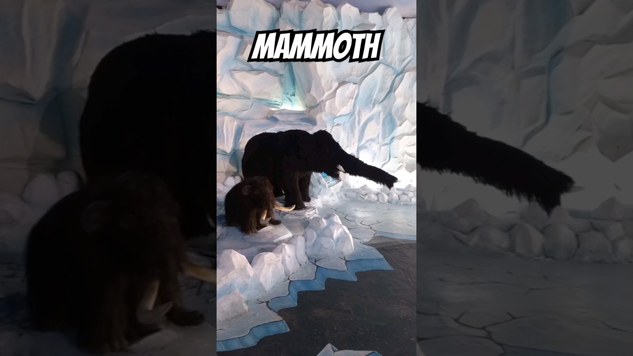 Mammoth 