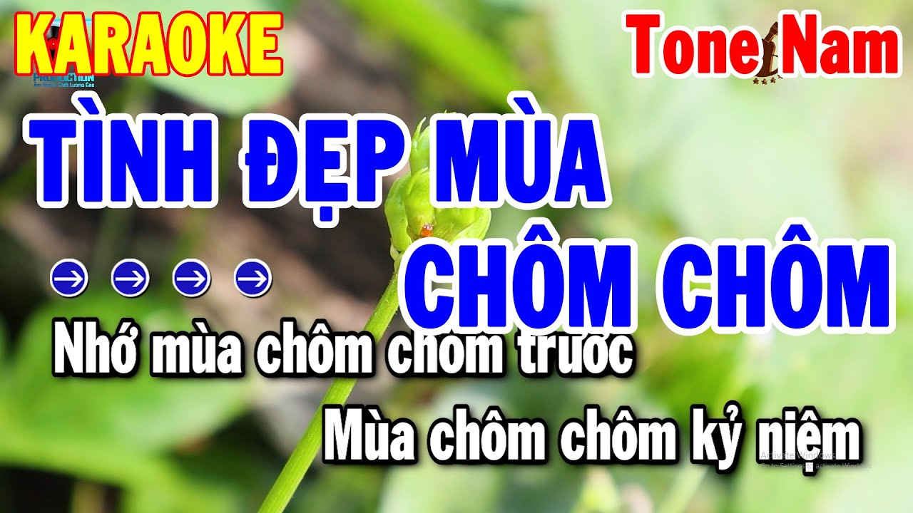 Karaoke Tình Đẹp Mùa Chôm Chôm Tone Nam Nhạc Sống Dễ Hát Nhất 2024 | Thanh Hải