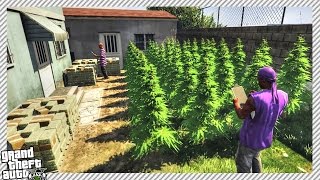 BALLAS GANG 'SECRET' WEED DRUG FARM (GTA 5 BALLAS GANG GAMEPLAY)