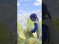 Incredible Rural Life in Pakistan | village life in Pakistan.