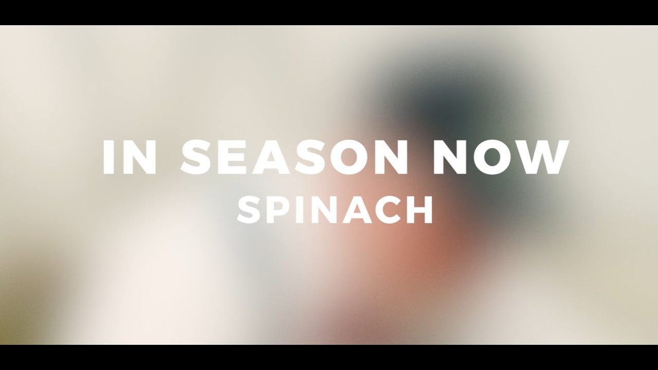 In Season Now with Chef and Farmer | Spinach