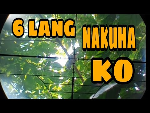 6 lang nakuha ko #huntingbirds