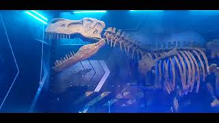Famous Uh oh! Pavellan Ryan meets a HUGE T-Rex! 🦖😱Run or hide… what would you do? Wealth